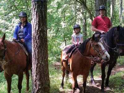 Dream Ridge Stables