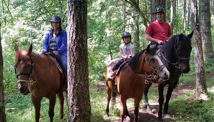 Dream Ridge Stables