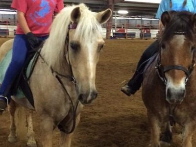 Louisville Equestrian Center