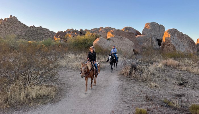 Wild West Horse Adventures