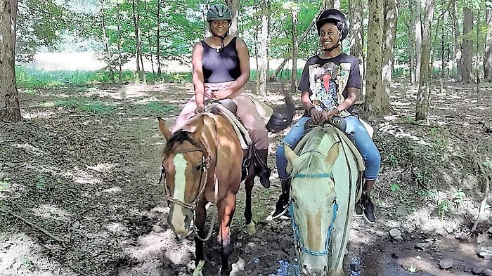 Rocke N Horse Farm
