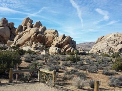 Joshua Tree Ranch