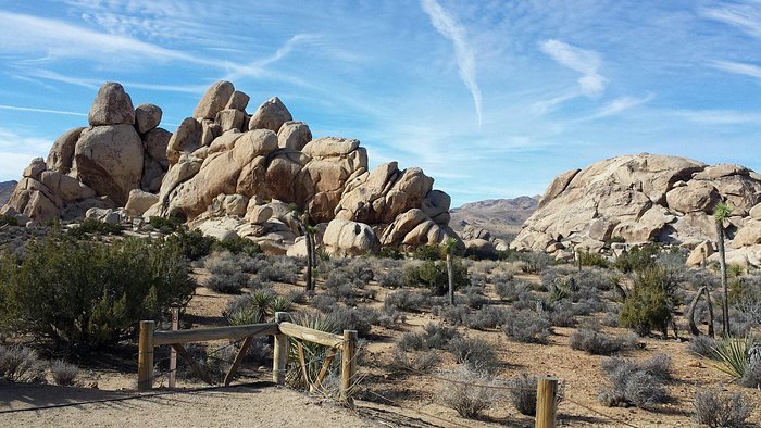 Joshua Tree Ranch