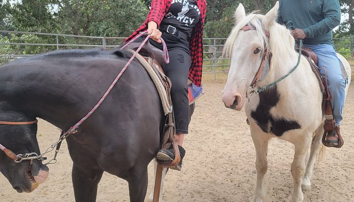 Rollin F Ranch
