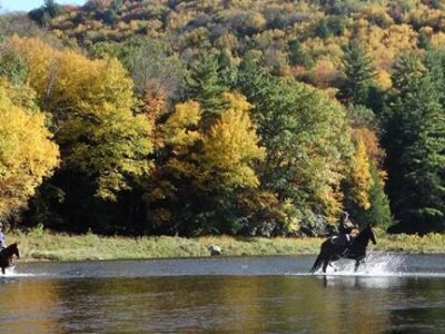 Cook Forest Area Scenic Trailride