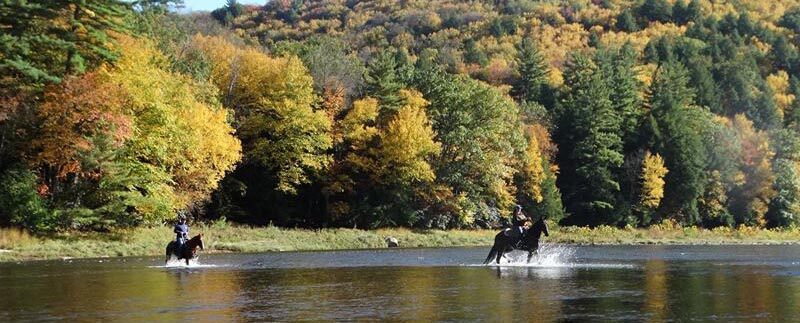 Cook Forest Area Scenic Trailride