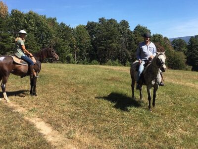 Royal Horseshoe Farm