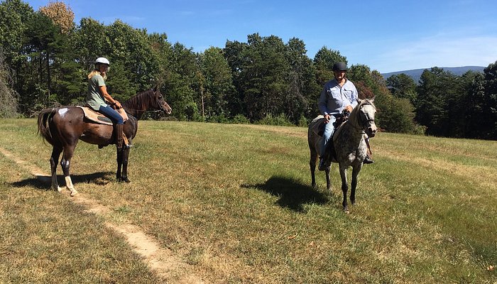 Royal Horseshoe Farm