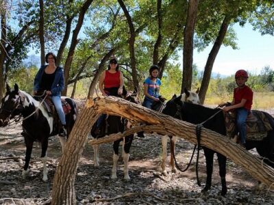Running Horse Ranch