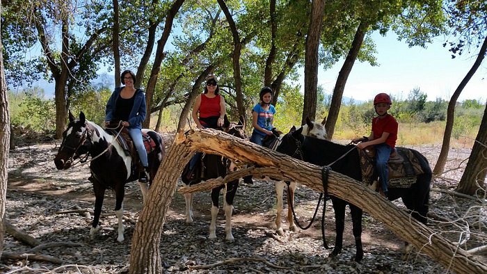 Running Horse Ranch