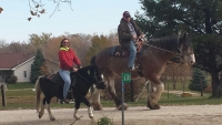 Rolling Hills Stables, LLC