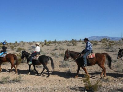Sagebrush Ranch