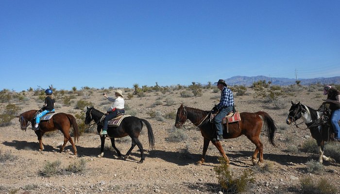 Sagebrush Ranch