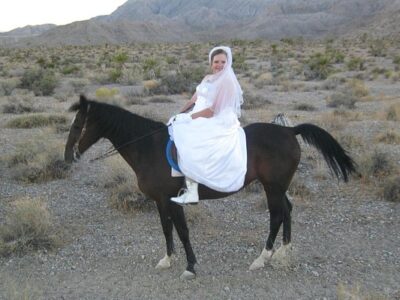 Sagebrush Ranch