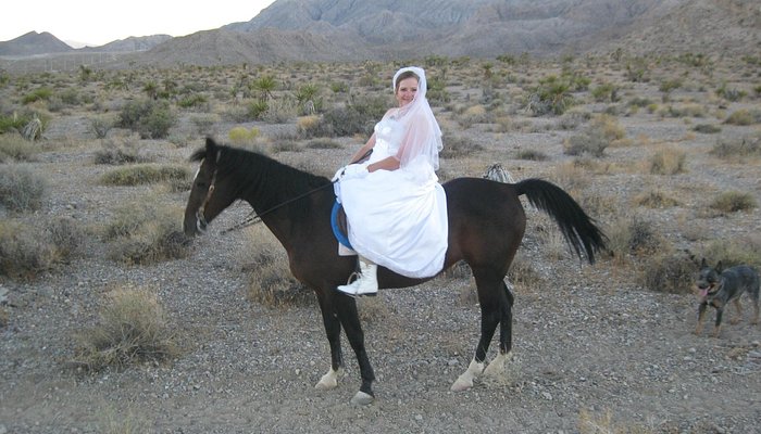 Sagebrush Ranch