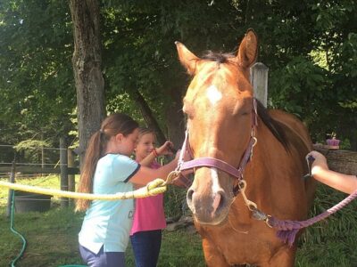 Cooperstown Equestrian Park