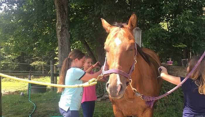 Cooperstown Equestrian Park