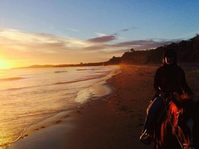 Santa Barbara Beach Horseback Rides