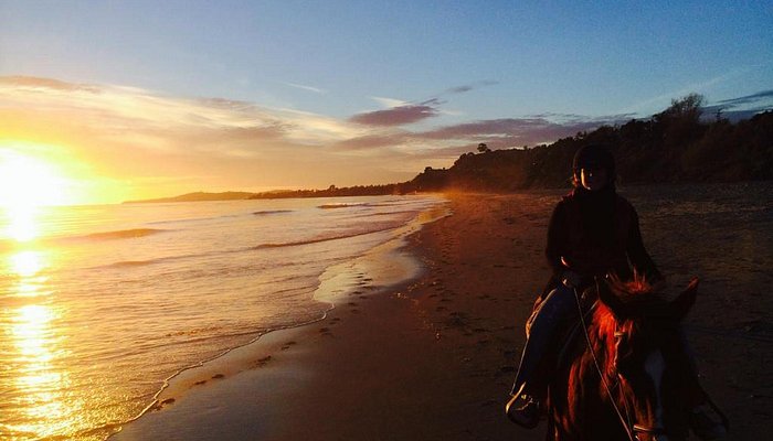 Santa Barbara Beach Horseback Rides