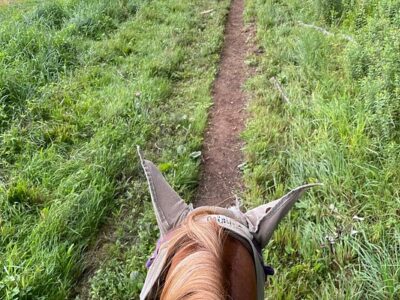 Happy Trails Riding