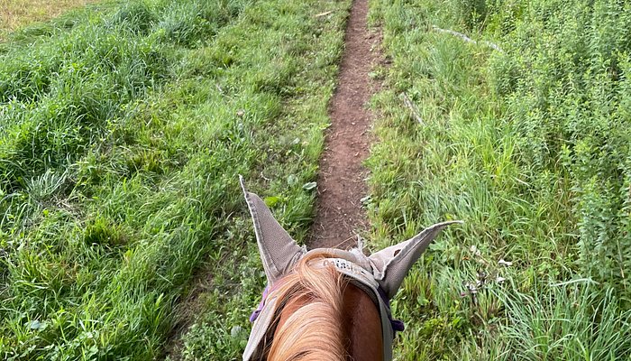 Happy Trails Riding