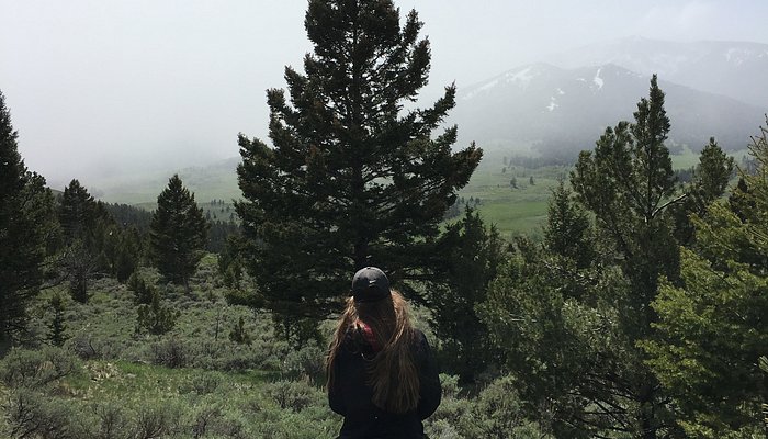 Wilderness Connection Inc