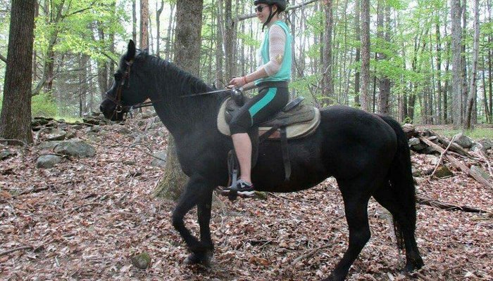 Ashokan Riding Club