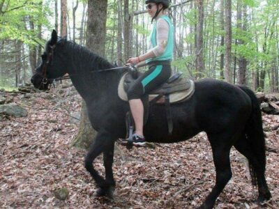 Ashokan Riding Club
