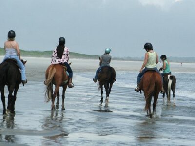 Seabrook Island Equestrian Center