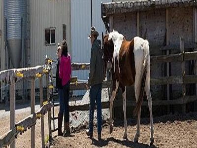 Shilo Ranch LLC