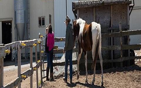 Shilo Ranch LLC