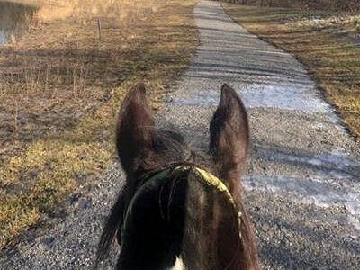 Shilo Ranch LLC