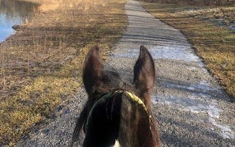 Shilo Ranch LLC