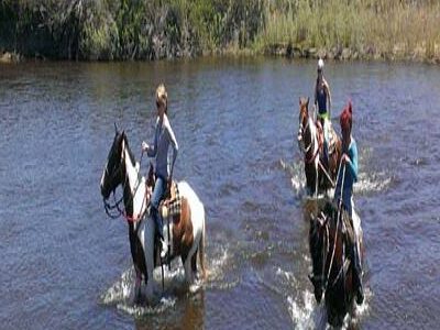 Shilo Ranch LLC