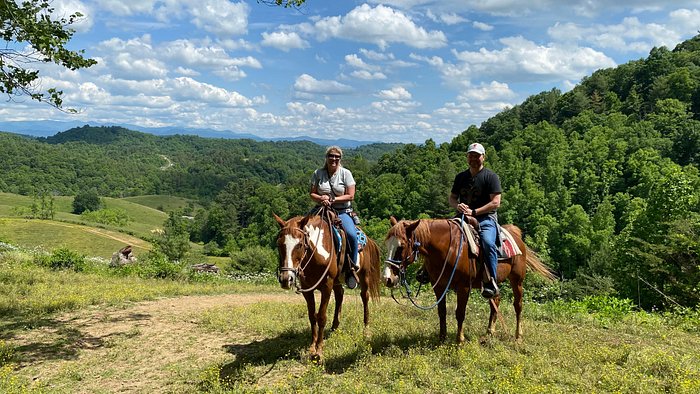 Smoky Mountain Trail Rides and Bison Farm