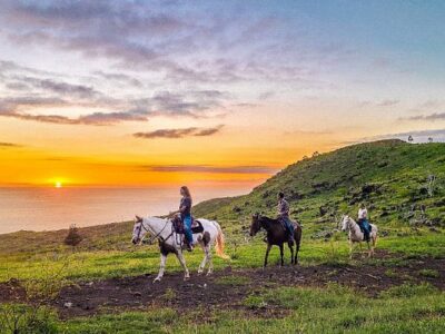 Palehua Trail Rides