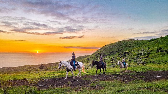 Palehua Trail Rides