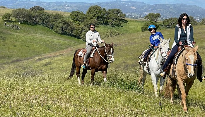 Paso Robles Pastures