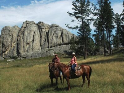 Hollingsworth Horses