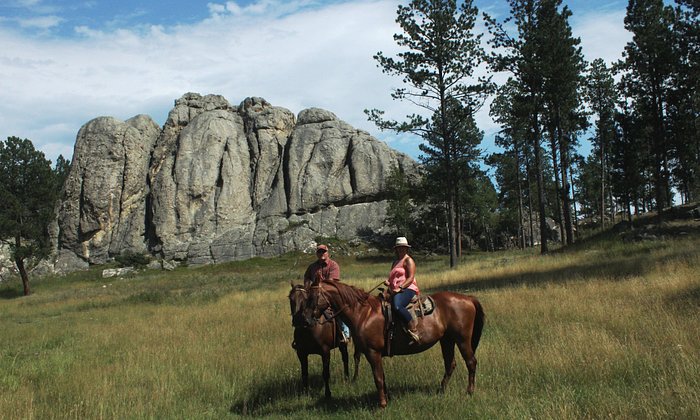 Hollingsworth Horses