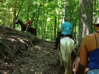 Warrior's Path Riding Stables