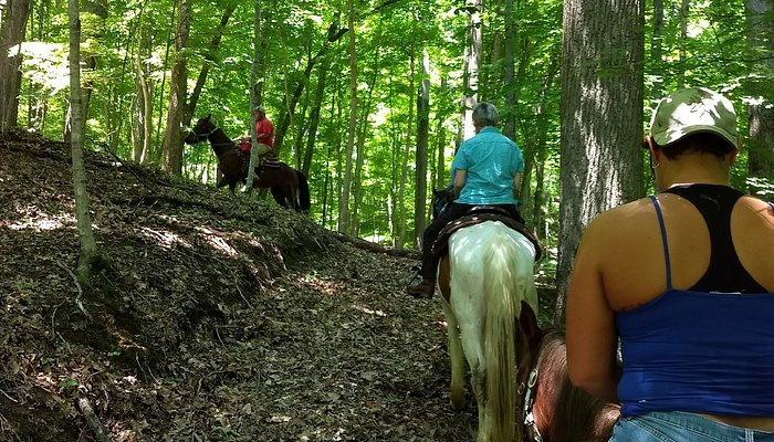 Warrior's Path Riding Stables