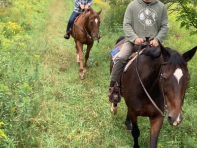 Broken Spoke Stables