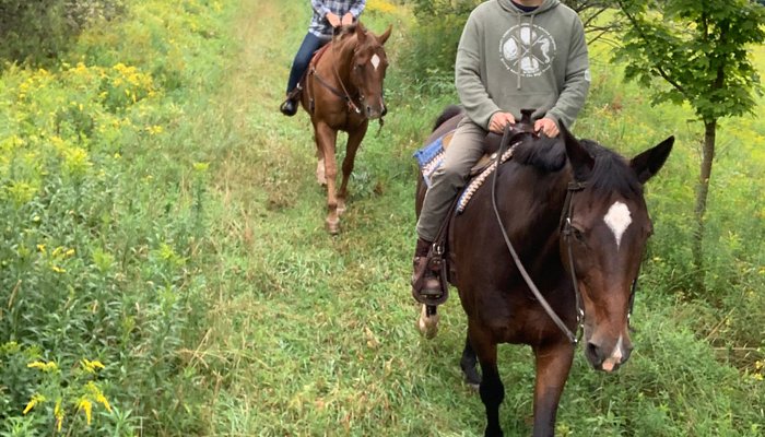 Broken Spoke Stables