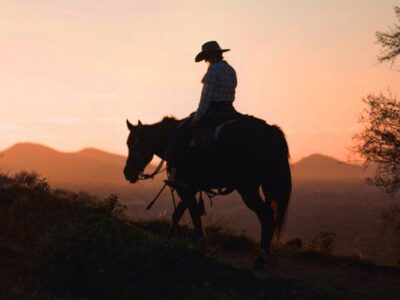 Wild West Horse Adventures