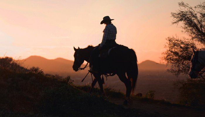 Wild West Horse Adventures