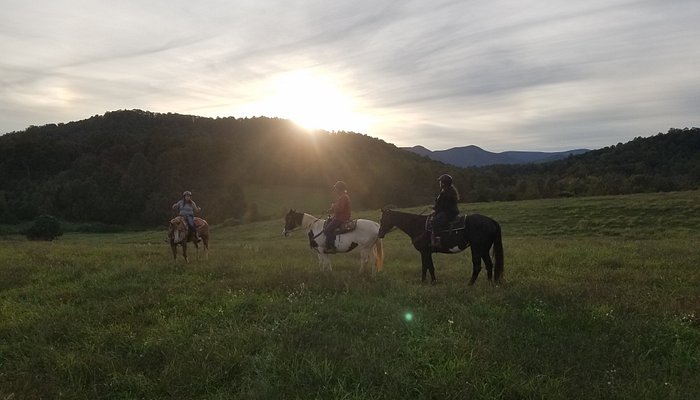 Fieldstone Trails, Llc