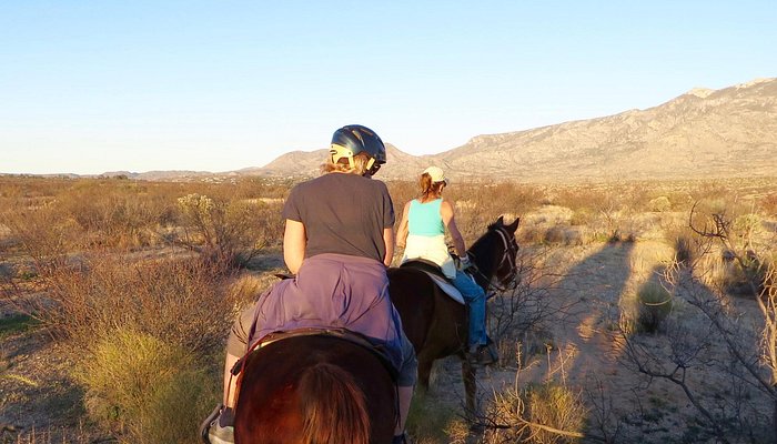 Pusch Ridge Stables