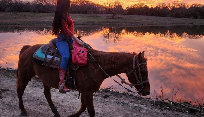 Chisholm Trail Rides