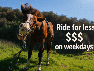 Sunset Ranch: Hollywood Trail Horseback Riding Tour